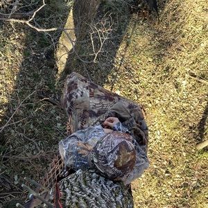 Meet your Posher, Blake